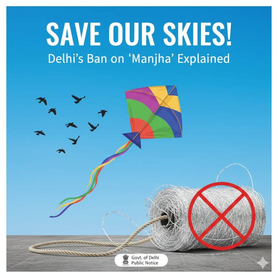 Preserving Life and Ecology: The Imperative Ban on Synthetic Kite Strings