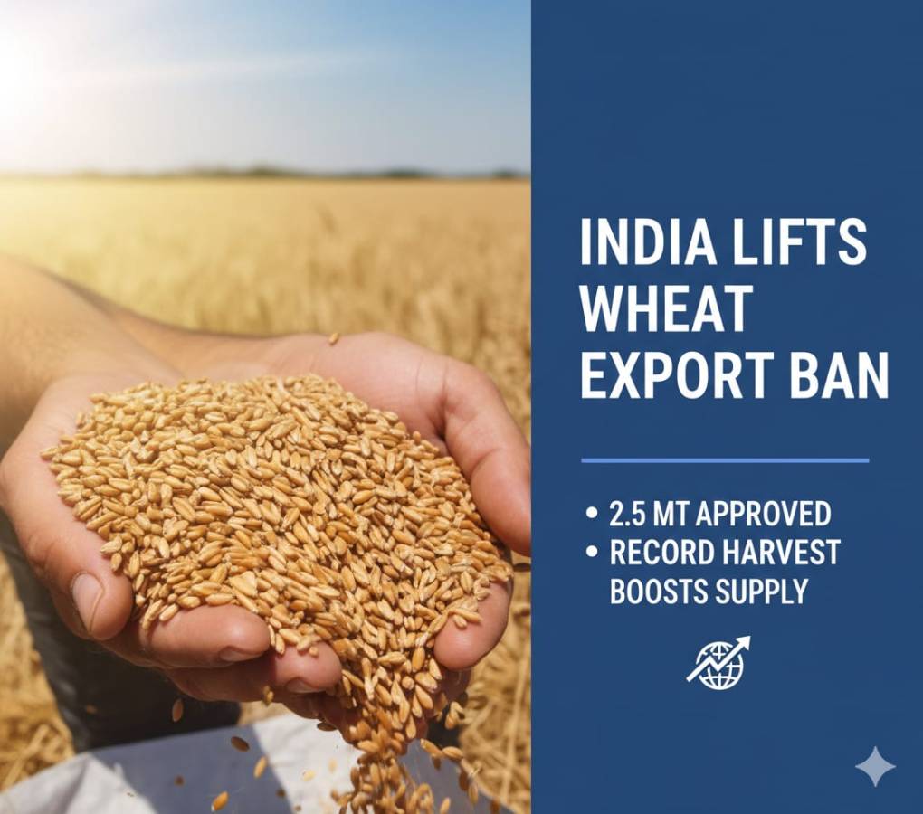Four Years After Ban, India Returns to Wheat Export Market as Production Prospects Strengthen