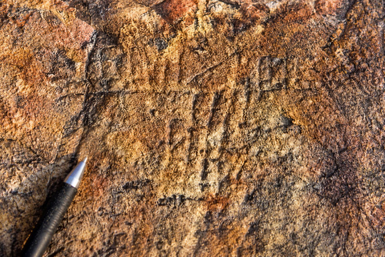 Ancient Rock Carving Discovered in Delhi's Central Ridge, Experts Call It a Rare Find
