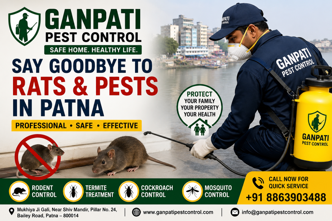 Rats in Your Home Are More Than a Nuisance. They Are a Health Risk That Patna Cannot Ignore