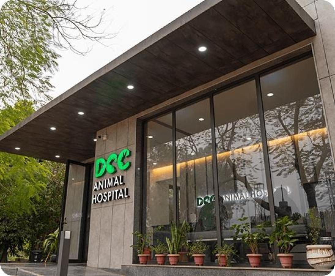 A Modern Vet Hospital in New Delhi
