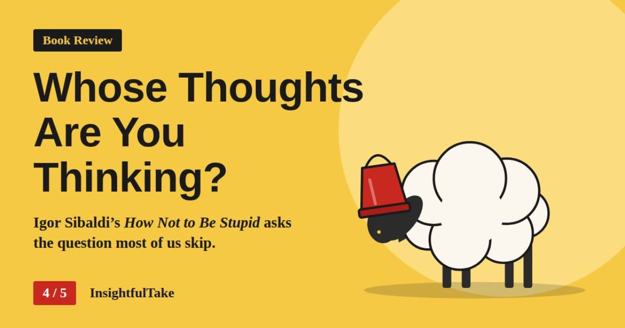 The Danger of Borrowed Beliefs: A Review of How Not to Be Stupid
