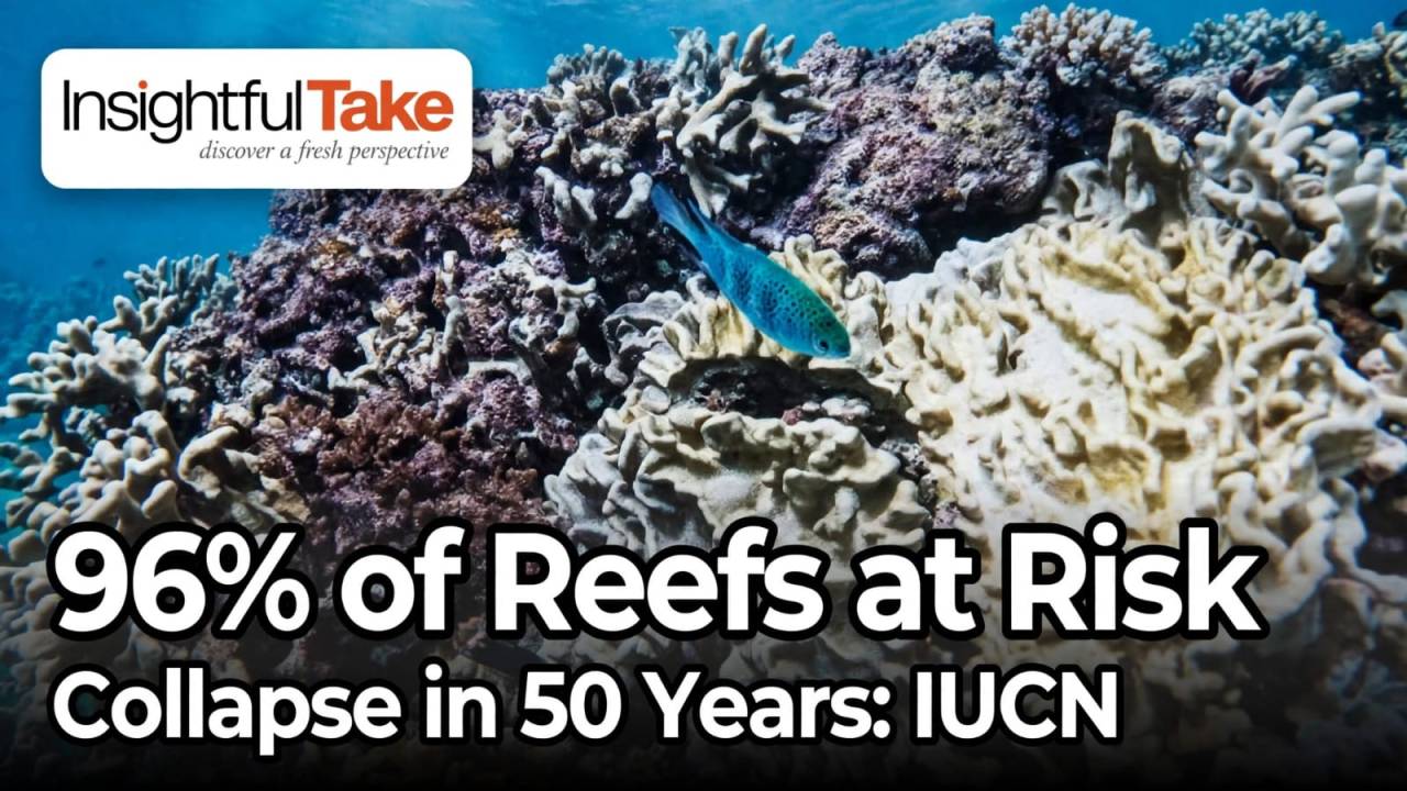 Coral Reefs Are Dying Faster Than the World Can Respond