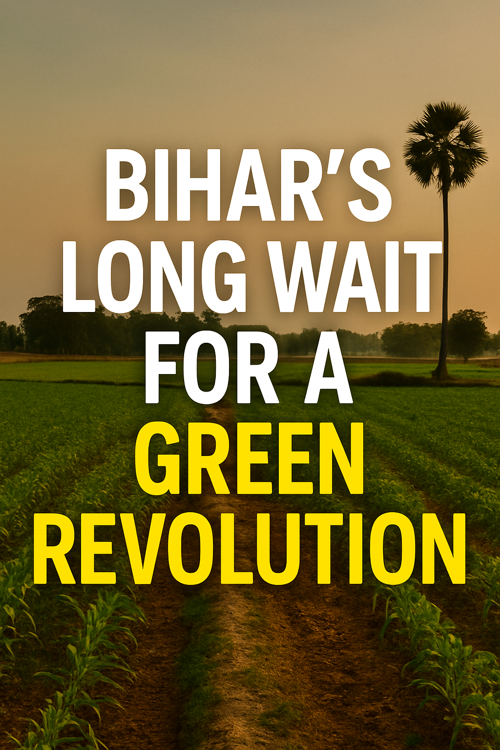 Bihar’s Long Wait for a Green Revolution: Missed Past, Possible Future