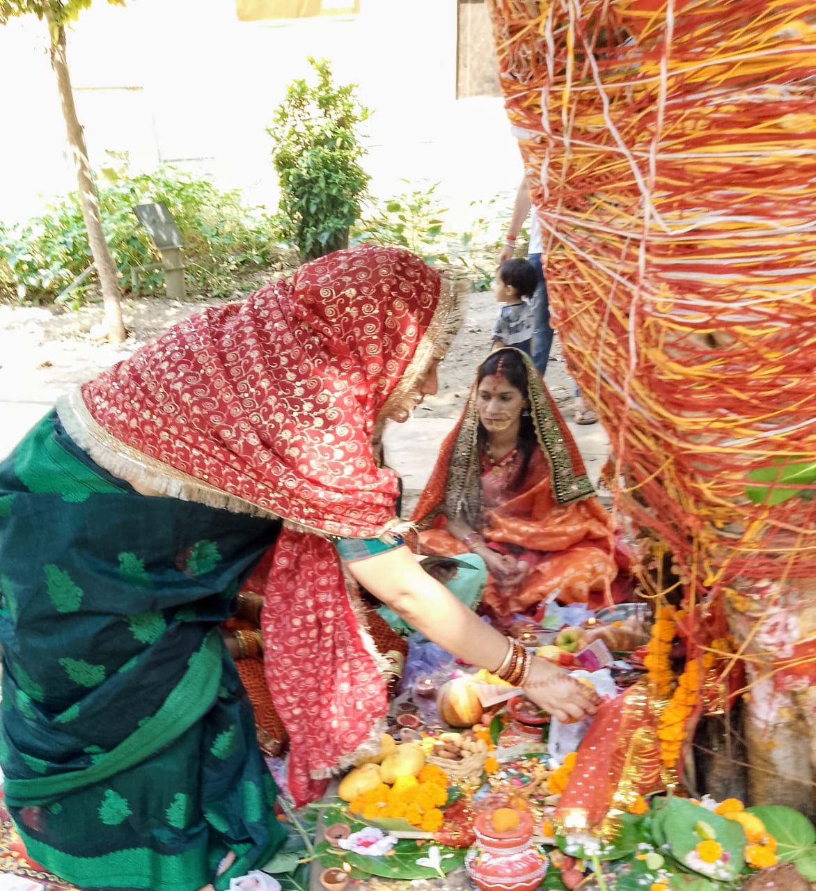 Vat Savitri Represents the Theme and Notion of Environment Day