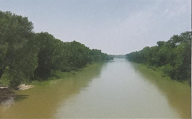 UP Realigns Canal Project, Preserves Forest Corridor
