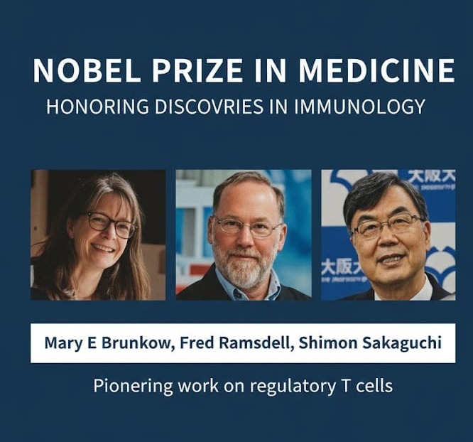 Nobel Laureates Decode the Body’s Immune Watchdog